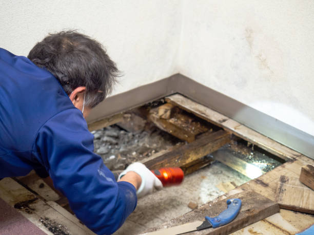 Best Crawl Space Mold Removal  in Aloha, OR