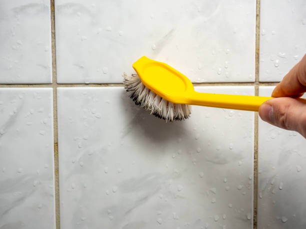 Best Mold Remediation  in Aloha, OR
