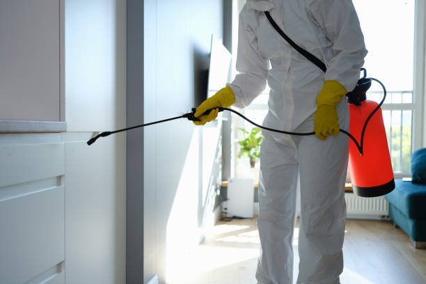Certified Mold Removal in Aloha, OR