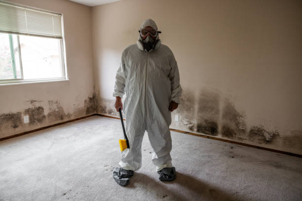 Best Attic Mold Removal  in Aloha, OR